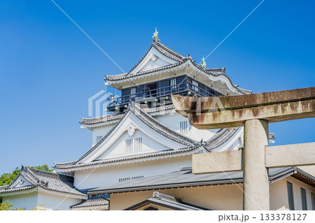 岡崎市の岡崎城の風景(愛知県) 133378127