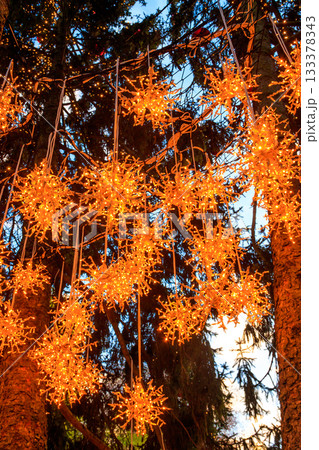 Lights on the Christmas tree at Bern Christmas Market Lights on the Christmas tree at Bern Christmas Market 133378343