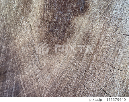 Close up of rugged, weathered surface of a tree stump, highlighting the rough texture and distinct grain patterns. Scratches and cracks mark the aged, dry wood. Cut tree trunk texture background. 133379440