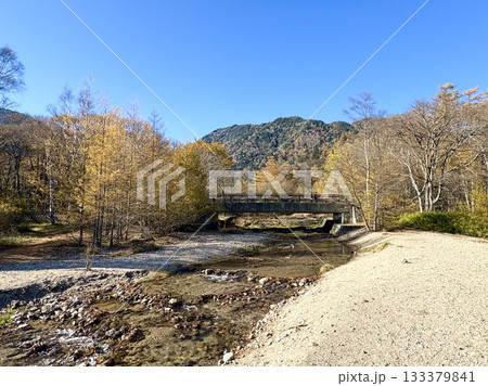 湖畔へ続く黄金の川路 133379841