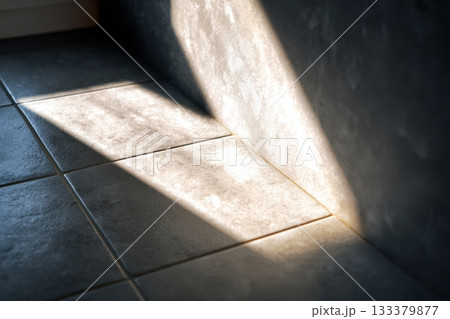 Sunlight casting a shadow on tiled floor in a room 133379877