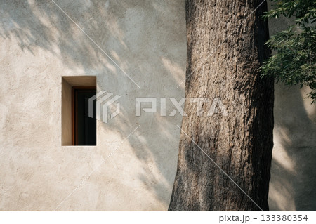 Natural elements contrast with modern architecture 133380354