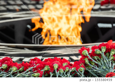 Historic memorial features a bright flame among red carnations, resting on a black stone Historic memorial features a bright flame among red carnations, resting on a black stone 133380459