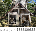 Insect house on tree in city garden 133380688