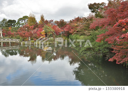 秋の永観堂禅林寺　極楽橋から臨む放生池(京都市左京区) 133380918