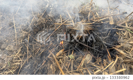 草むら野焼きの炎と煙 草むら野焼きの炎と煙 133380962