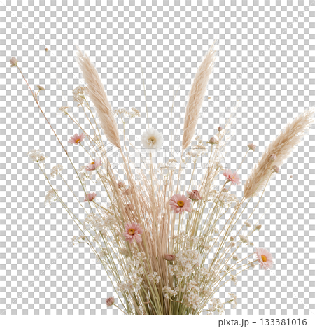 Delicate Bouquet of Dried Flowers in Soft Hues on a White Background Delicate Bouquet of Dried Flowers in Soft Hues on a White Background 133381016