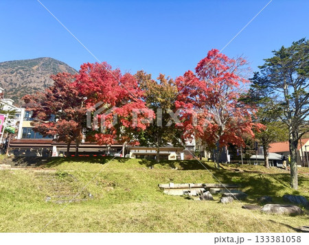 真っ赤なドヤ顔をキメる木々と映りたがりの山 133381058