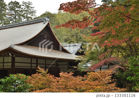 秋の南禅院　方丈庭園(京都市左京区) 133381116