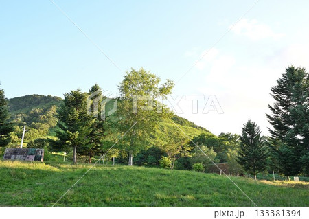 夕暮れのモヤヒルズキャンプ場と山の風景(青森県) 夕暮れのモヤヒルズキャンプ場と山の風景(青森県) 133381394