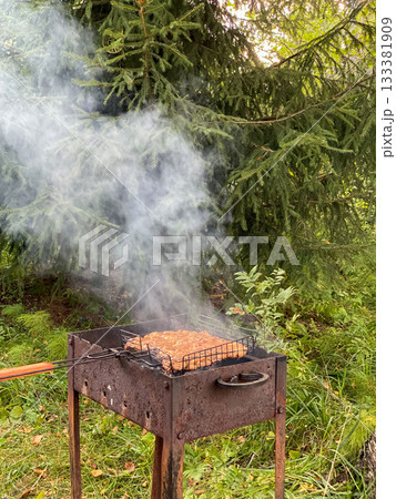 Outdoor Barbecue Grill with Smoke in Forest 133381909