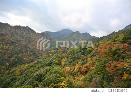 秋の御在所岳 三重 秋の御在所岳 三重 133381942