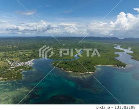 Mangrove channels flowing across forest landscape into shallow clear sea. Siargao, Philippines. 133382199
