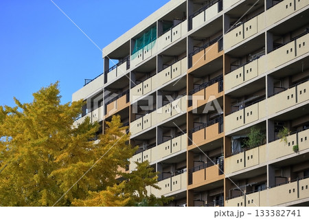 青空と集合住宅 青空と集合住宅 133382741