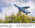 樹上をかすめる様に飛ぶブルーインパルス 133382877