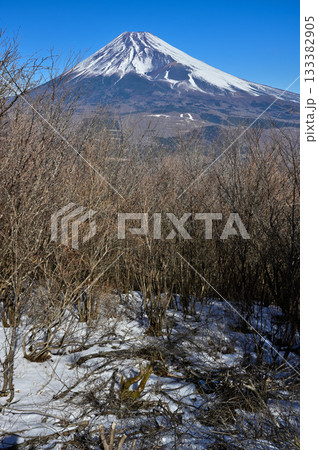 愛鷹山塊の越前岳 富士見台の森から望む富士山 愛鷹山塊の越前岳 富士見台の森から望む富士山 133382905