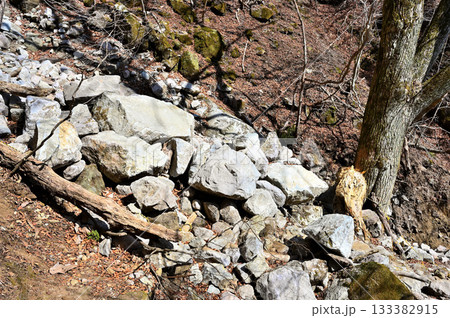 愛鷹山塊の越前岳 谷筋で岩が地滑りを起こした崩落地 愛鷹山塊の越前岳 谷筋で岩が地滑りを起こした崩落地 133382915