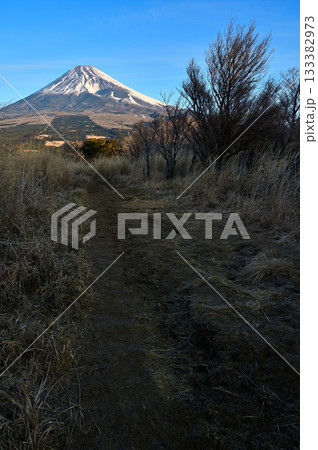 愛鷹山塊の越前岳へ登るカヤトの道より眺める富士山 133382973