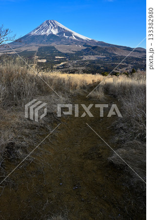 愛鷹山塊の越前岳 カヤトの登山道から望む富士山 愛鷹山塊の越前岳 カヤトの登山道から望む富士山 133382980