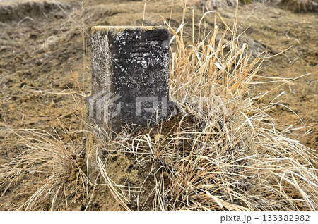 愛鷹山塊の越前岳　馬ノ背見晴台の三角点 133382982