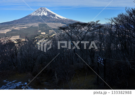 愛鷹山塊の越前岳　平坦地より望む富士山 133382988