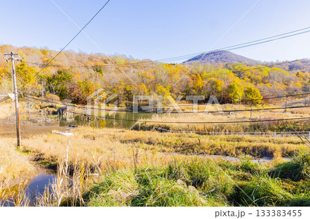 洞爺湖有珠山ジオパーク 133383455