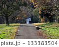 秋の公園を散歩するカップル 133383504