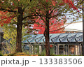 紅葉のある風景 133383506