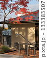 紅葉のある風景 133383507