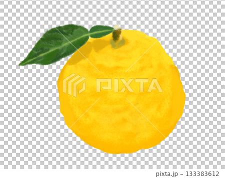 ゆず(1個)色鉛筆画風 ゆず(1個)色鉛筆画風 133383612