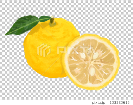 ゆず(1個と断面)色鉛筆画風 ゆず(1個と断面)色鉛筆画風 133383613