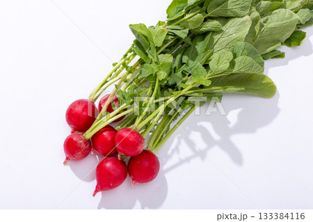 ラディッシュ 133384116