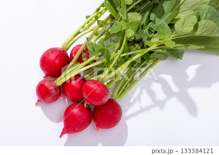 ラディッシュ 133384121