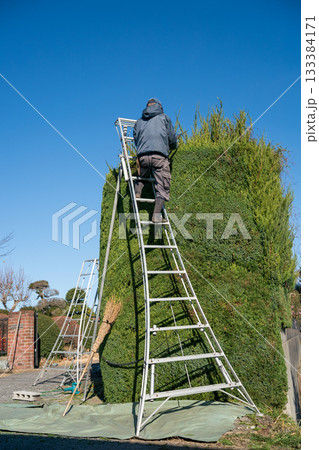 Japanese Gardener 133384171