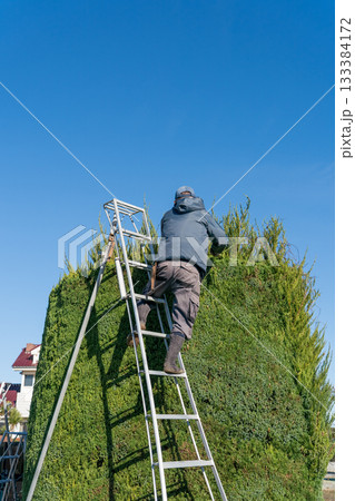 Japanese Gardener Japanese Gardener 133384172