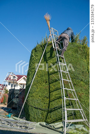 Japanese Gardener Japanese Gardener 133384179