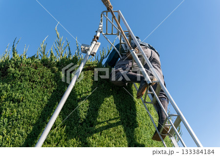 Japanese Gardener Japanese Gardener 133384184