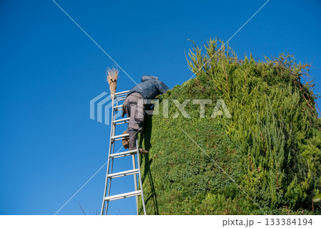 Japanese Gardener Japanese Gardener 133384194