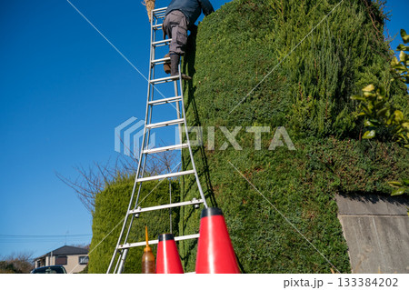Japanese Gardener Japanese Gardener 133384202