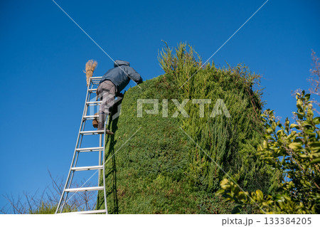 Japanese Gardener Japanese Gardener 133384205