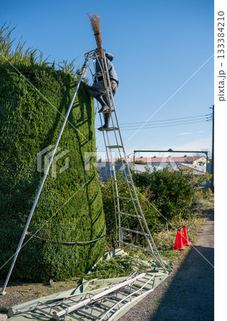 Japanese Gardener 133384210