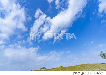 秋空と雲と草原 秋空と雲と草原 133384273