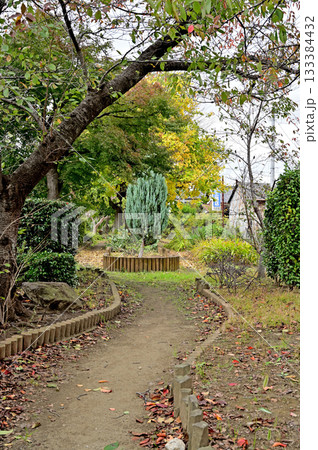 越谷散歩:西幹排緑道(旧出羽堀跡) 越谷市蒲生 越谷散歩:西幹排緑道(旧出羽堀跡) 越谷市蒲生 133384432