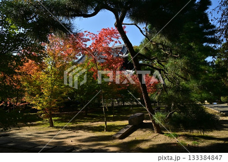 西陣興聖寺 133384847