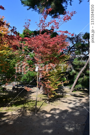 西陣興聖寺 133384850