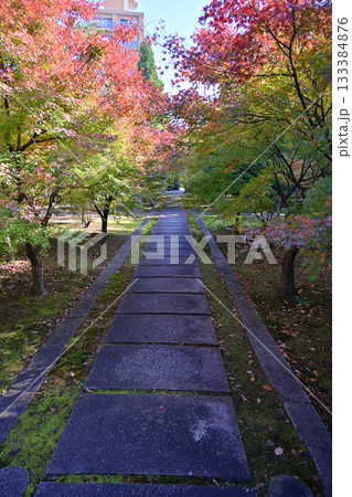 西陣興聖寺 133384876