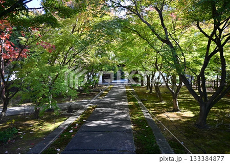 西陣興聖寺 133384877