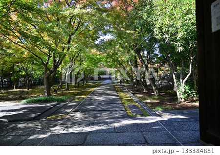 西陣興聖寺 西陣興聖寺 133384881