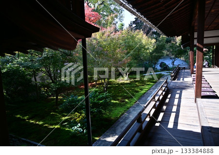 西陣興聖寺 西陣興聖寺 133384888