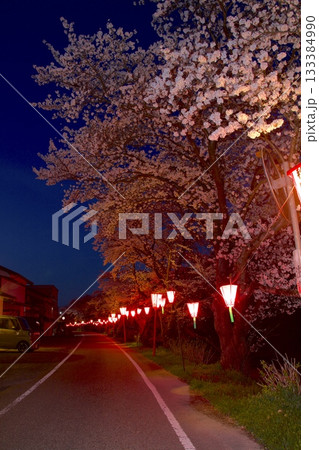 「竹田の桜並木」/竹田城跡の城下町を流れる円山川沿いの夜桜 「竹田の桜並木」/竹田城跡の城下町を流れる円山川沿いの夜桜 133384990